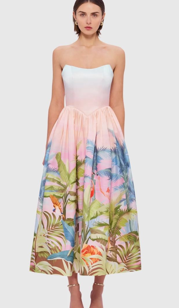 Leo Lin Melanie Bustier Midi Dress - Dreamscape Print