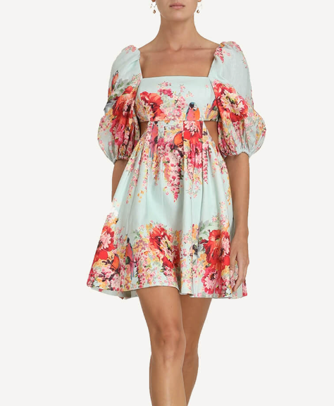 Zimmermann Mae cut out mini dress