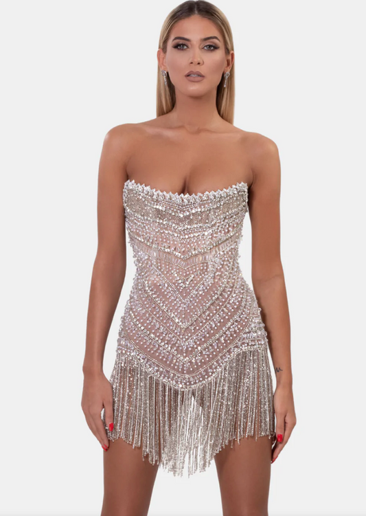 Albina Dyla wild silver/nude corset dress