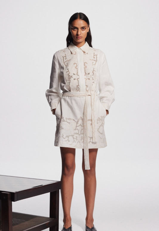 Alemais Pegasus Embroidered Mini Dress