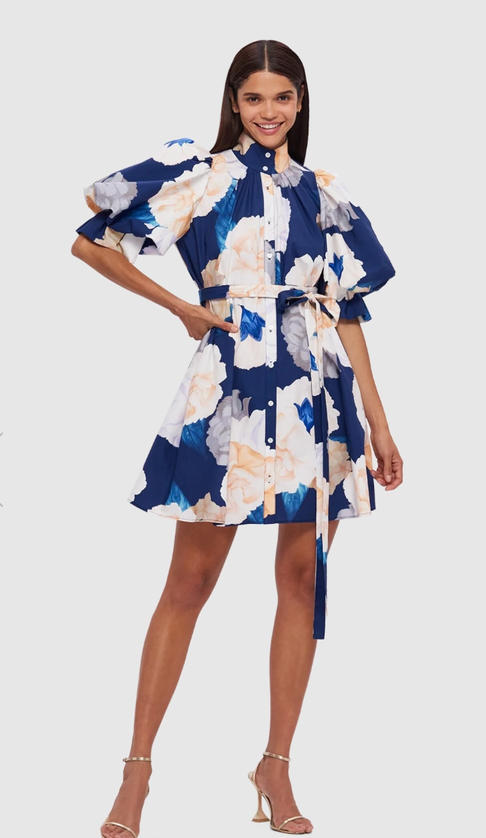 Leo Lin Eli Mini Dress - Rosebud Print in Navy