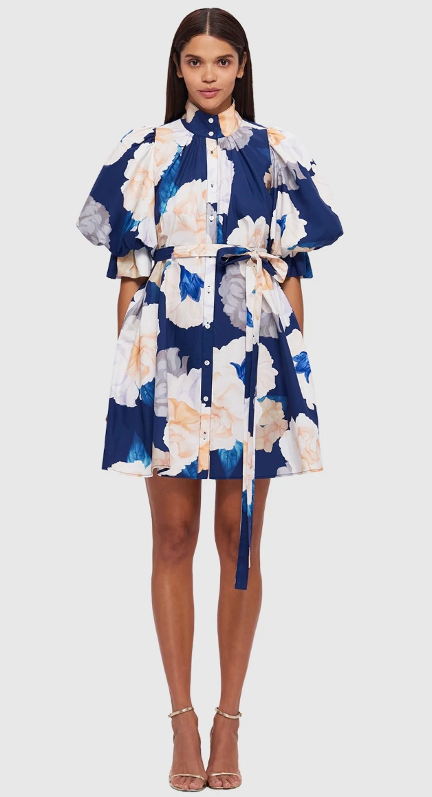 Leo Lin Eli Mini Dress - Rosebud Print in Navy